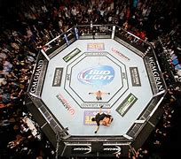 Image result for MMA Octagon Cage