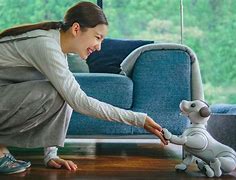 Image result for domestic robotic pet