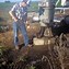 Image result for Well Casing Submursable Pump
