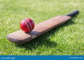 Image result for Cricket Images Bat Ball with Green Grass