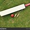 Image result for Cricket Stumps PNG Silhouette