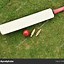 Image result for Cricket Bat Ball and Stumps Clip Art