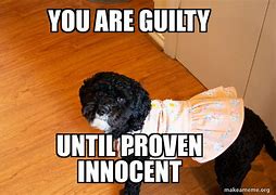Image result for Guilty Look Meme