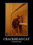 Image result for Funny Crackhead Meme