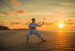Image result for Different Types of Martial Arts