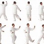 Image result for Wu Style Tai Chi Chuan