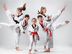 Image result for Martial Arts for Kids in Near Grand Ledge