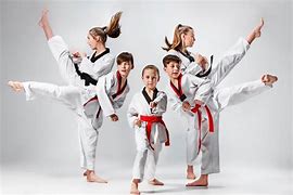 Image result for Elite Show Martial Arts for Kids