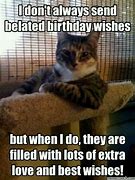 Image result for Happy Belated Birthday Cat Memes