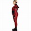 Image result for Harley Quinn Plus Size Costume
