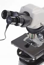 Image result for Microscope Eyepiece Camera
