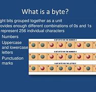 Image result for Byte Types