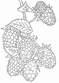 Image result for BlackBerry and Peach to Color