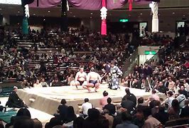 Image result for Sumo Tournament