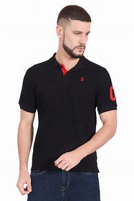 Image result for Polo T-Shirts for Men