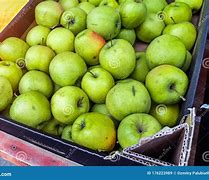 Image result for Green Apple Box