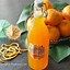 Image result for Orange Squash