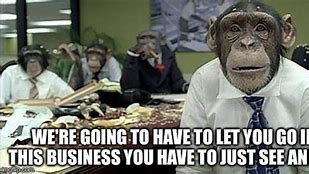 Image result for Office Monkey Meme