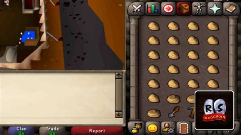 Image result for OSRS Museum Fossils