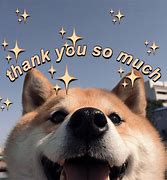 Image result for Thank You so Much Dog Meme