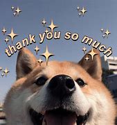 Image result for Thank You Meme