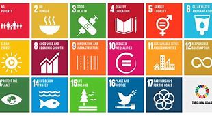 Image result for Un Sustainable Development