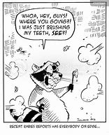 Image result for Funny Bat Rabies Cartoon