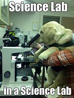Image result for Quality Control Laboratory Meme