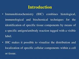 Image result for Immunohistochemistry Protocol