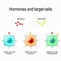 Image result for Cell Signaling