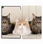 Image result for Amazon Fire Tablet Case Cat