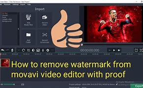 Image result for Movavi Watermark Remover