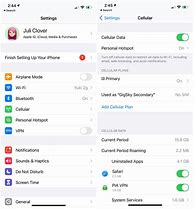 Image result for iPhone Cellular Settings SE