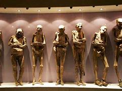 Image result for Mexican Mummies Guanajuato