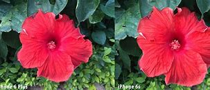 Image result for iphone 6s vs 6s plus specs