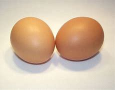 Image result for 2 Large Eggs