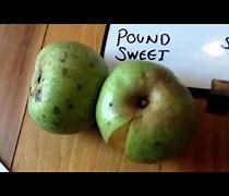 Image result for Pound Sweet Apple
