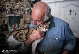 Image result for 9000 Year Old Man Cat