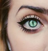 Image result for Colored Contact Lenses Cat Eyes