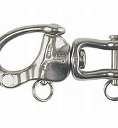 Image result for Snap Shackle with Swivel Fork
