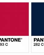 Image result for Bright Pink Pantone Colors