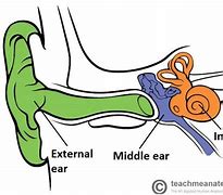 Image result for abofe6ear