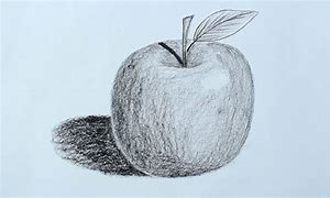 Image result for Apple Sketching