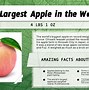 Image result for Biggest Apple M