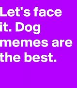 Image result for Pet Dog Meme
