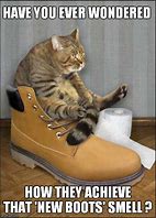 Image result for Cute Boots Meme