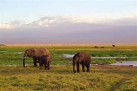 Image result for Kenya Things to Do