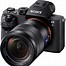 Image result for Sony Camera with the Wig