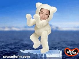 Image result for Polar Bear Dance