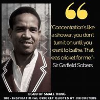 Image result for Cricketers Quotes